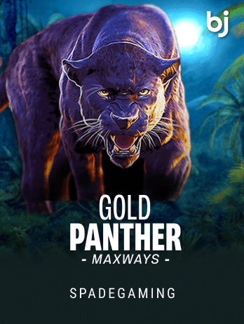 Gold Panther Maxways thumbnail